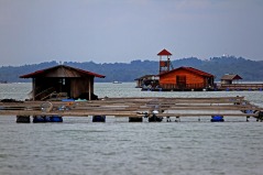 A raft house or known as Rumah Rakit is used to set fish cages by the fishermen for fish breeding in Kampung Pendas,Gelang Patah,Johor on March 12,2015.-The Malaysian Insider pic by Seth Akmal