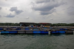 A raft house floats on the ocean and it could last several periods and should be repaired from time to time in Kampung Pendas,Gelang Patah,Johor on March 12,2015.-The Malaysian Insider pic by Seth Akmal